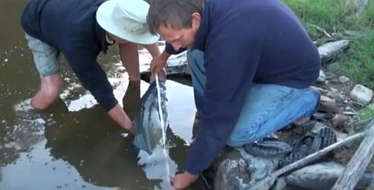 Something fishy in the west